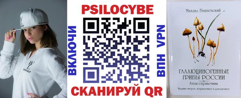 Псилоцибиновые грибы Psilocybe  Купить закладки  Ленинградская 